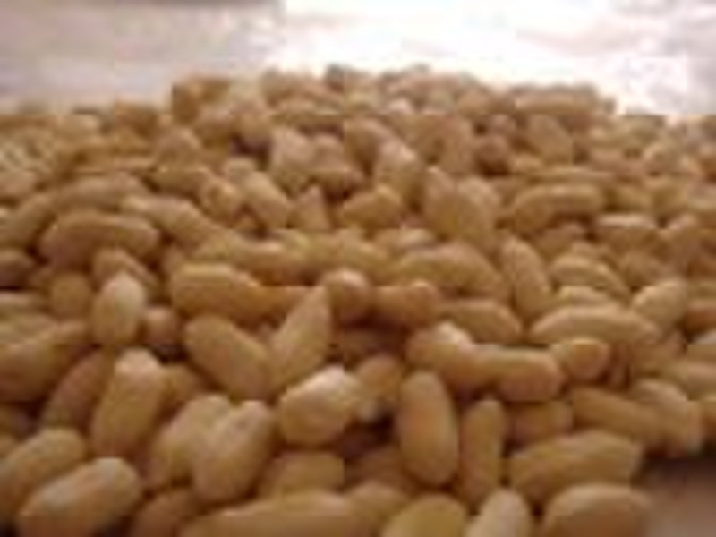 Peanut kernels 29/33