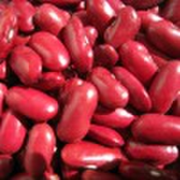 Chinese dark red  kidney bean crop 2010