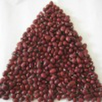 small red bean