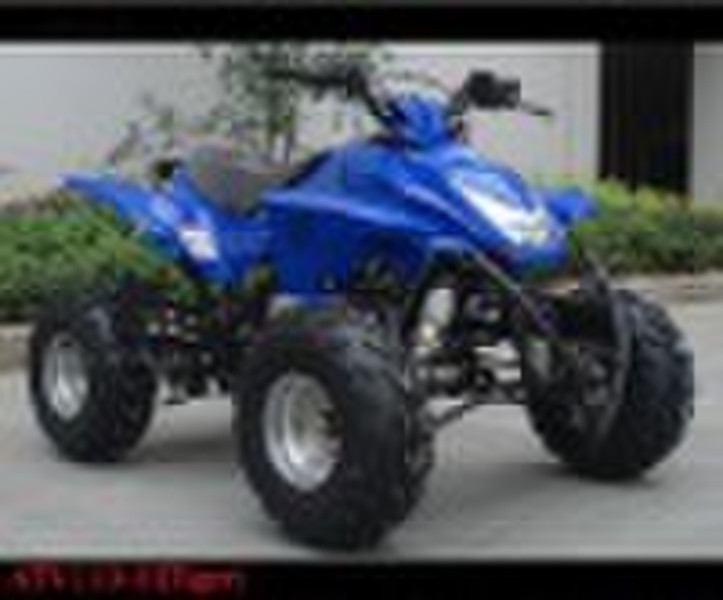 110cc Quad Bike