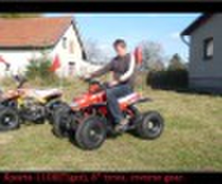 110cc Quad, CE Approved