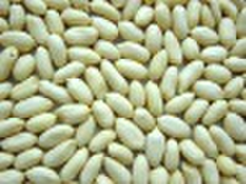 Blanched peanuts kernels, large type/long shape