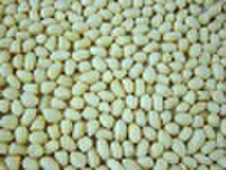 Blanched peanuts kernels, round type