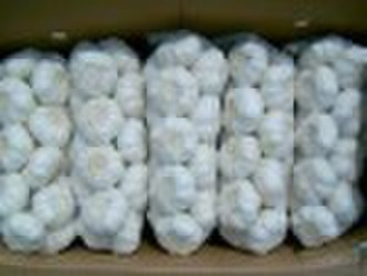 10kgs carton package garlic