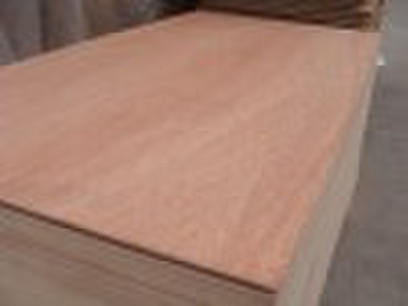 bingtangor plywood