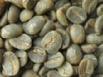 ARABICA GREEN COFFEE BEANS GRADE AA