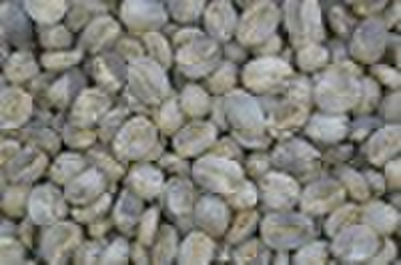 Arabica green coffee beans grade A1
