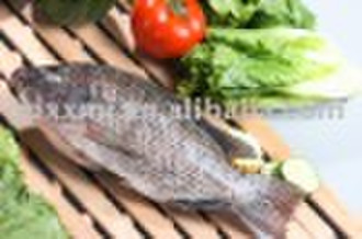 Ganze Tilapia (GS)