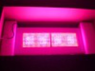 1200w Led Grow Light