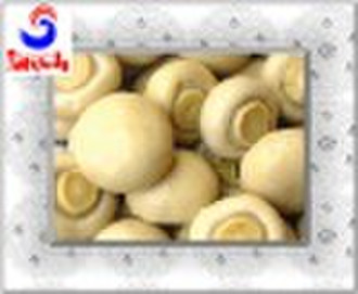 Canned Mushroom Whole, Q9, Haishan