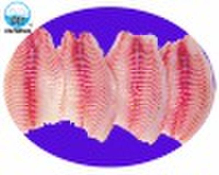 frozen tilapia fillet