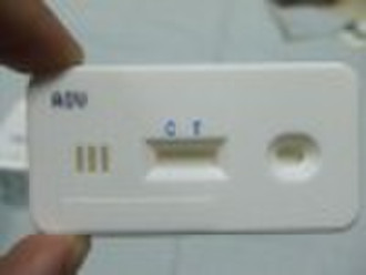 Quacking Vogelgrippevirus Ag Schnelltest-Kit