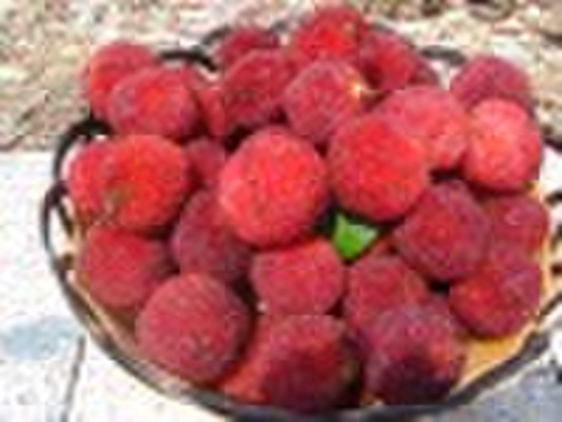 Замороженные ягоды Воск / IQF Воск ягода