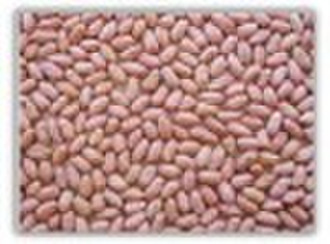 Peanut kernel (long type)