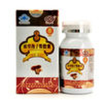 Ganoderma lucidum Spore Kapsel