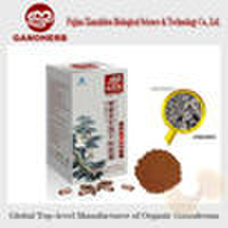 All cell-wall broken Ganoderma lucidum Spore Powde