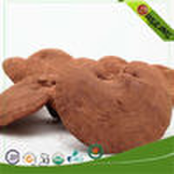 First-class Organic whole lingzhi dried reishi