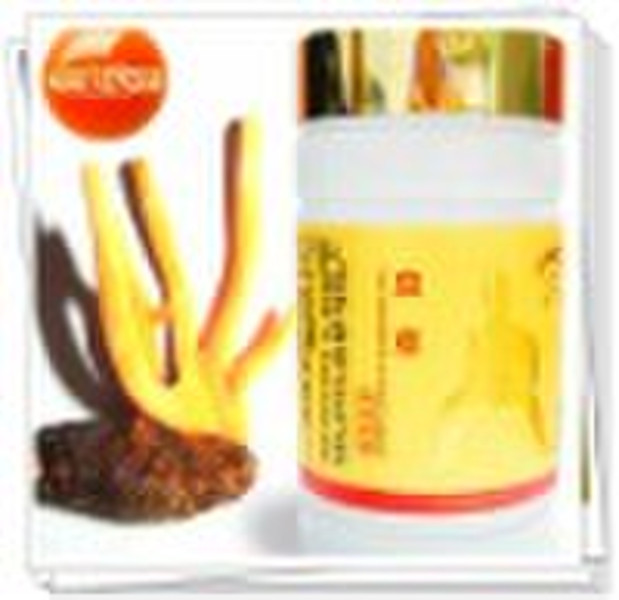 Chinesische Kräuterextrakt Cordyceps Kapsel