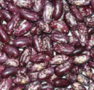 Purple Speckled Kidney Bean