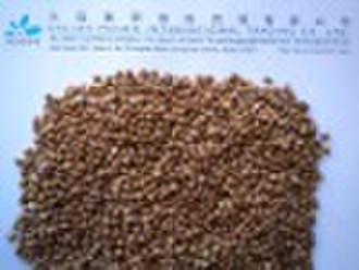 Roasted Buckwheat Kernel