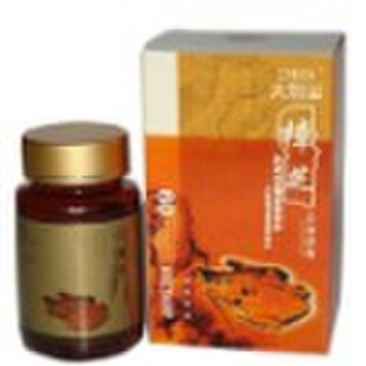 DBS Antrodia camphorata polysaccharide capsule