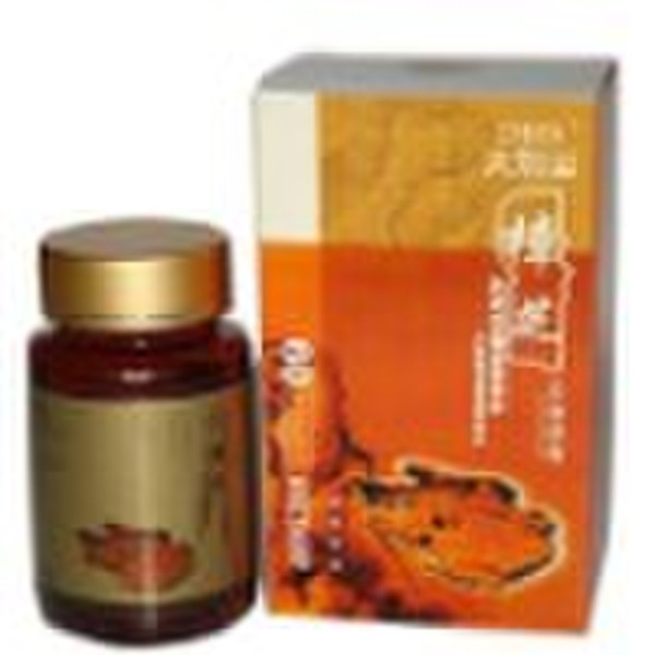 DBS Antrodia camphorata polysaccharide capsule