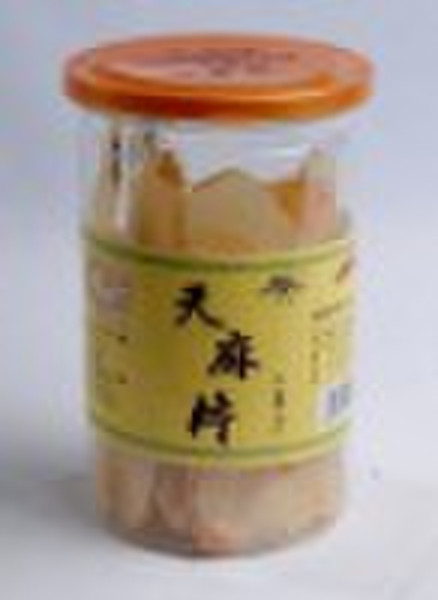 Tall Gastrodia Tuber