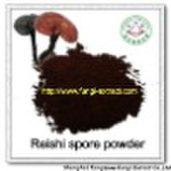 Reishi Spore Pulver Ganoderma lucidum Sporenpulver