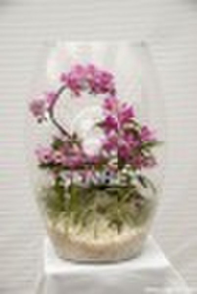 Plant-Flower arts-finished-Dendrobium