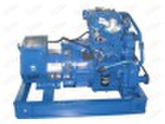 Marine Generator