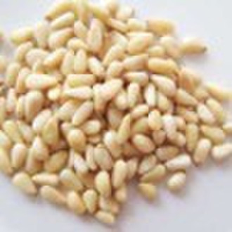 pinenut kernels