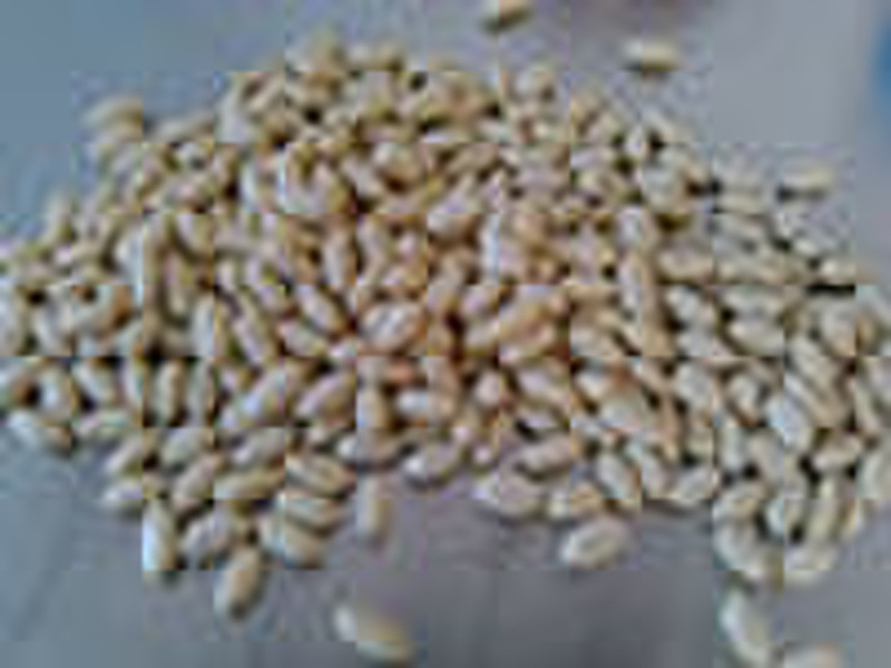 chinese blanched peanut kernels 29/33