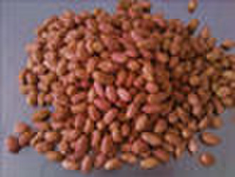 blanched peanut kernels 25/29