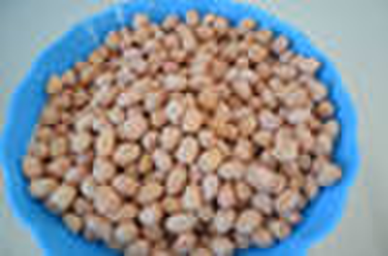 peanut kernels 40/50