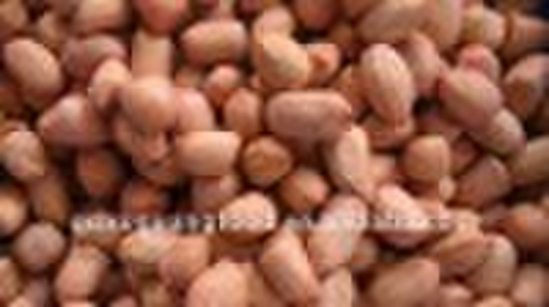 peanut kernels60/70