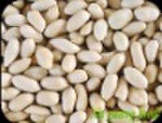 chinese blanched peanut kernels 35/39