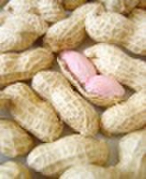 Chinese Peanut