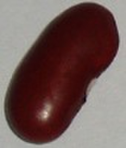 chinese dark red kidney beans