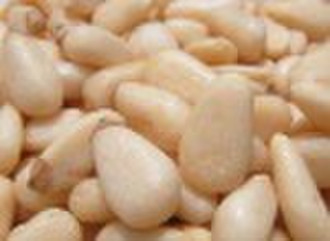 red pine nuts