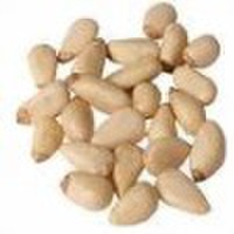 red pine nut