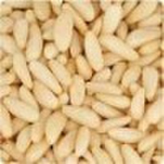 Pakistan pine nuts