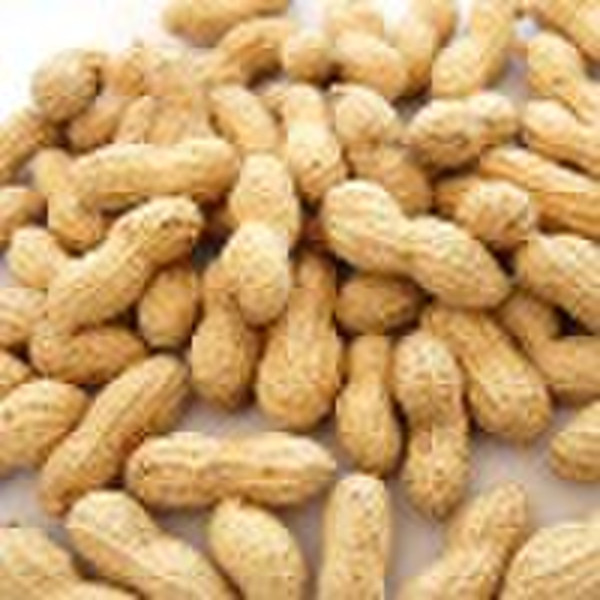 Selected Peanuts