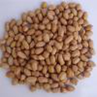 Groundnut Kernel (Round Size)