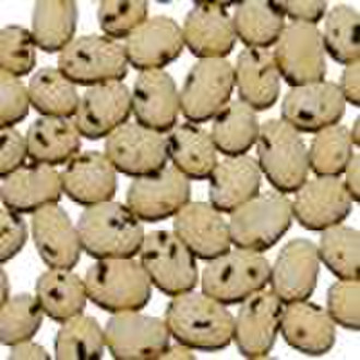 Laver Flavour Coated Peanut