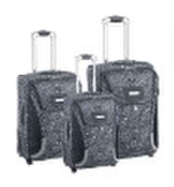 2010 new fashional Trolley luggage SDMZB-004