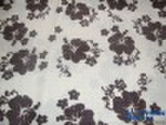 Calico