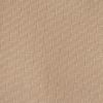 PVC Coated Fabric