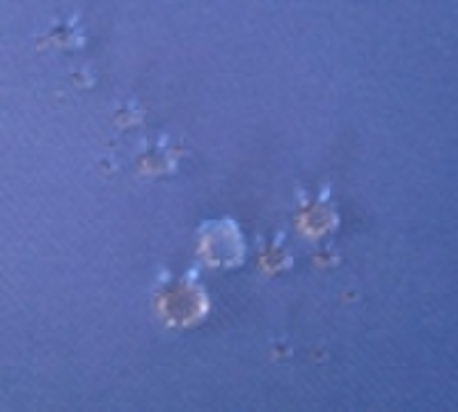 100%polyester w/r coating fabric