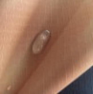 taxed water resistant rib stop oxford fabric