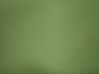 100% nylon taffeta  268T full dull twill 2/2 70D*7